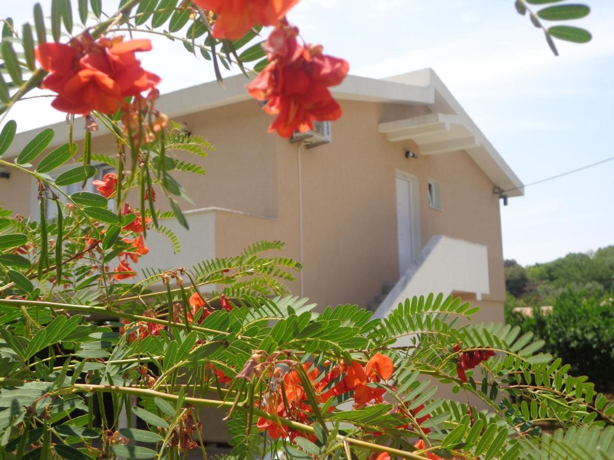 Apartments Pepdjonovic Ulcinj Exteriér fotografie